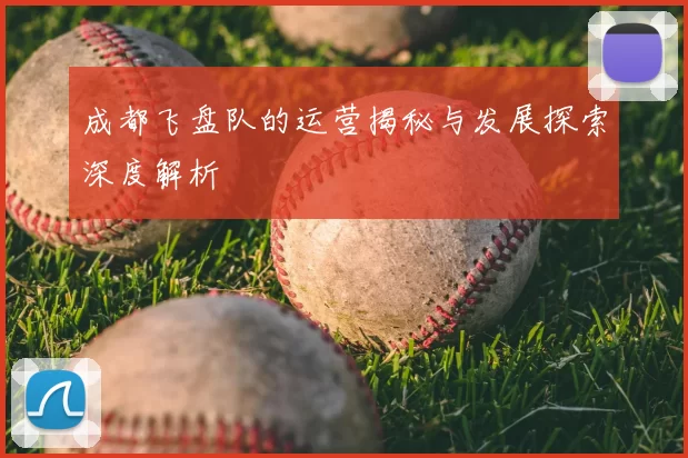 成都飞盘队的运营揭秘与发展探索深度解析