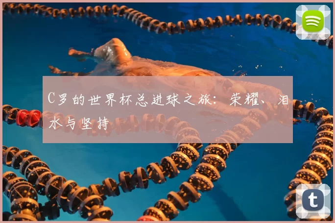C罗的世界杯总进球之旅：荣耀、泪水与坚持