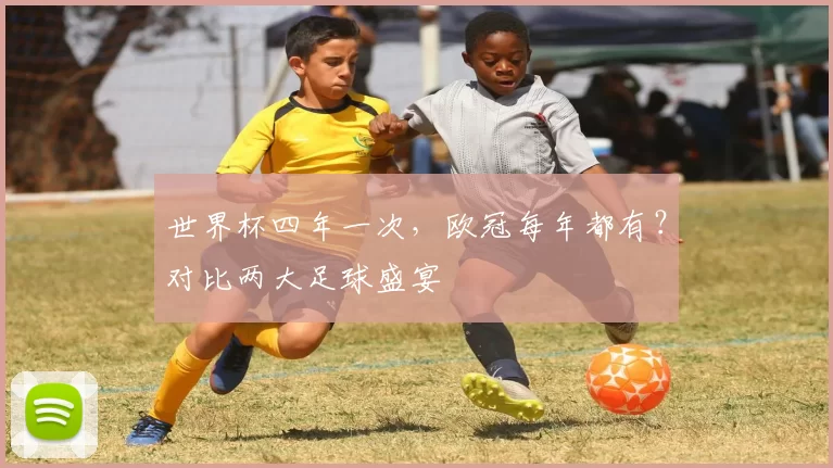 世界杯四年一次，欧冠每年都有？对比两大足球盛宴