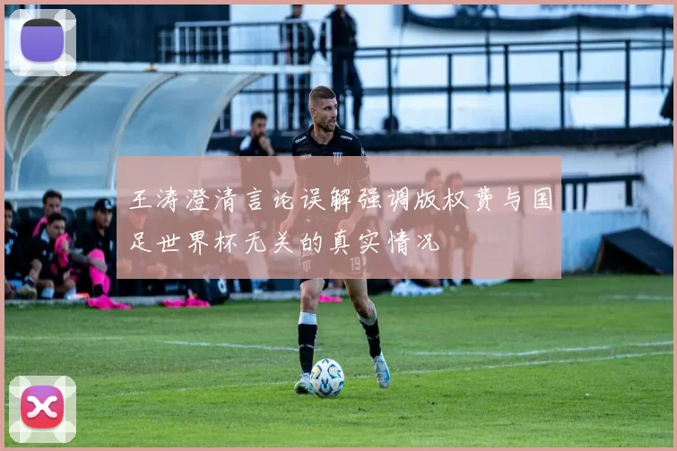 王涛澄清言论误解强调版权费与国足世界杯无关的真实情况