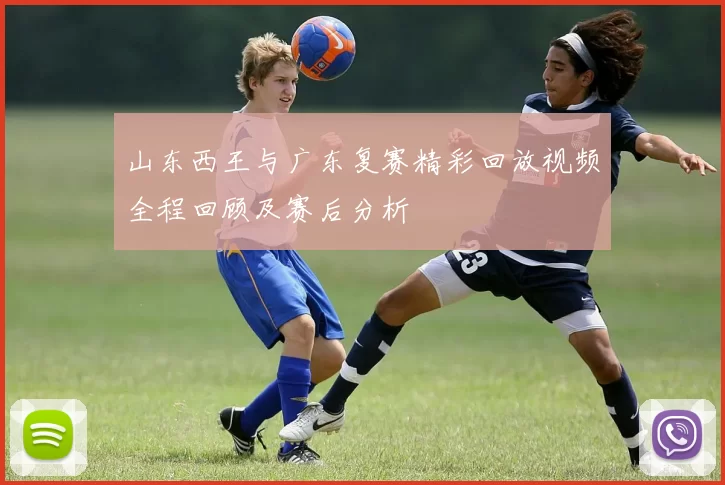 山东西王与广东复赛精彩回放视频全程回顾及赛后分析