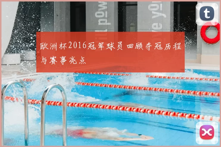 欧洲杯2016冠军球员回顾夺冠历程与赛事亮点