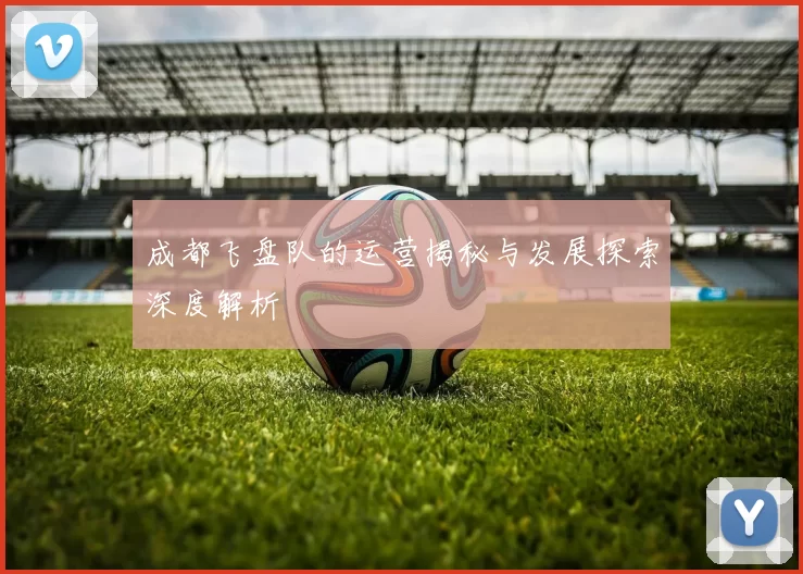 成都飞盘队的运营揭秘与发展探索深度解析