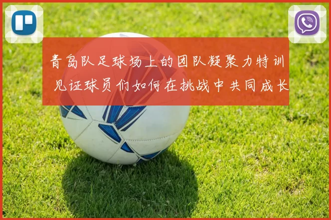 青岛队足球场上的团队凝聚力特训 见证球员们如何在挑战中共同成长