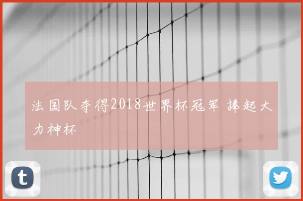 法国队夺得2018世界杯冠军 捧起大力神杯
