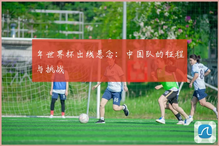年世界杯出线悬念:中国队的征程与挑战