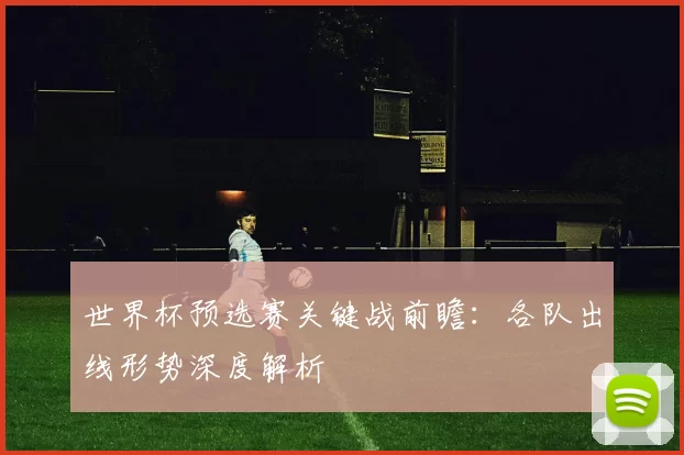 世界杯预选赛关键战前瞻:各队出线形势深度解析